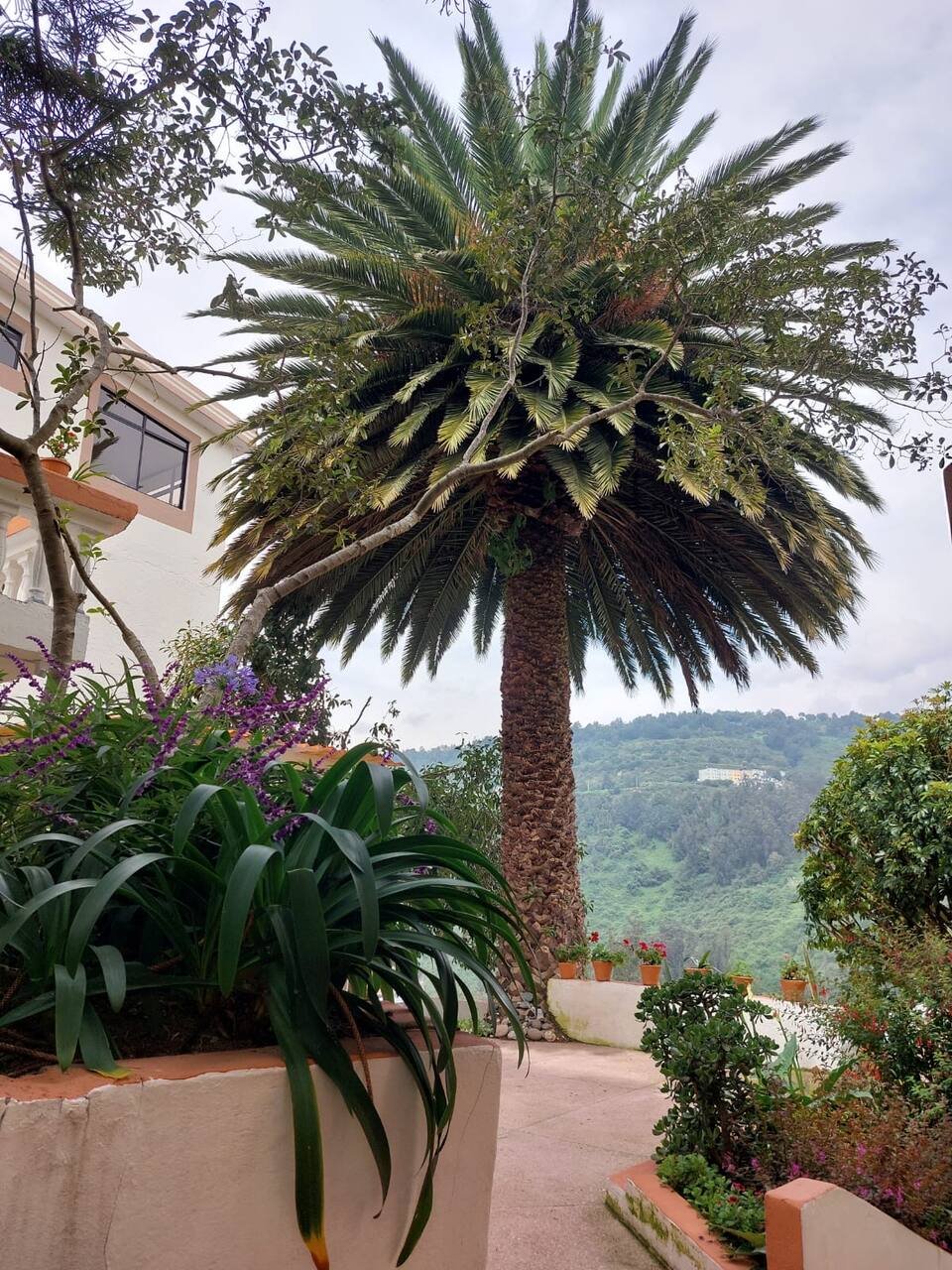 Exteriores Casa BuenaVida